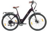 Nowoczesny rower elektryczny TTGO C3 Pro z aluminiową ramą i dużą baterią 36V 20Ah